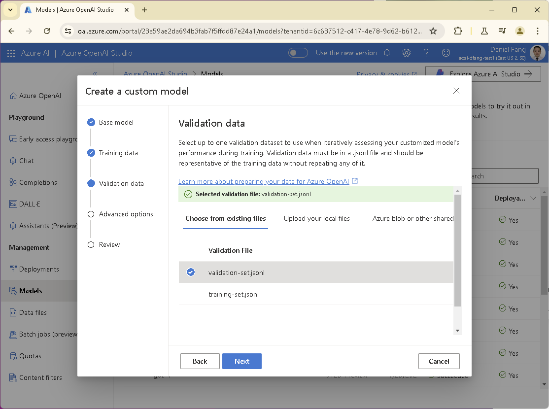 Fine-tune Validation File